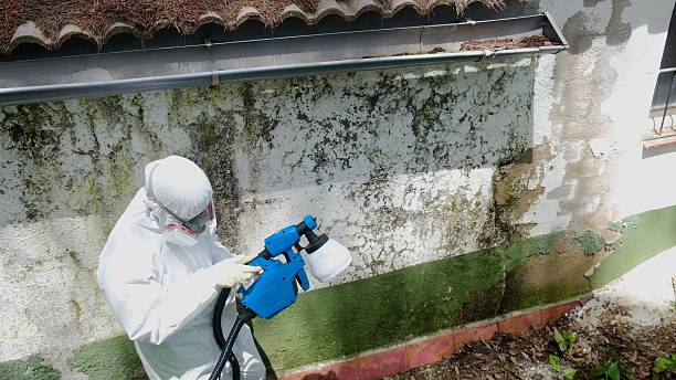 Trusted Black Mold Removal service in Acworth, GA - Cheap Mold Removal